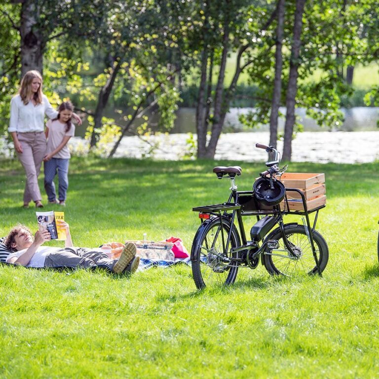 Read more about the article Sådan rejser du til udlandet med din el-ladcykel