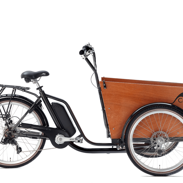 Cangoo Easy-E El-ladcykel med frontlåge – Grå